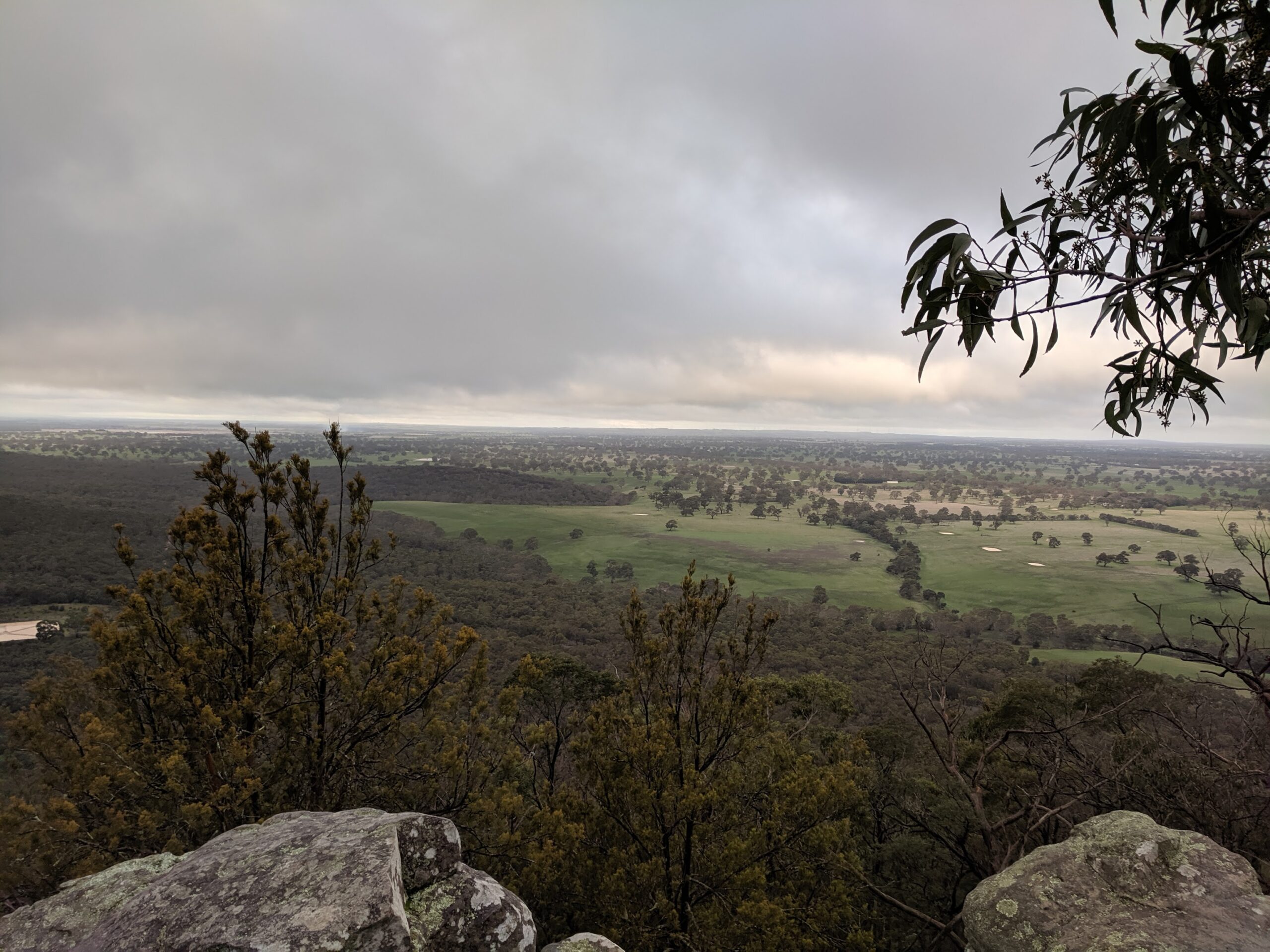 restaurant-le-nocturne|Piccaninny (Bainggug): Hike to the summit of Piccaninny (Bainggug).
