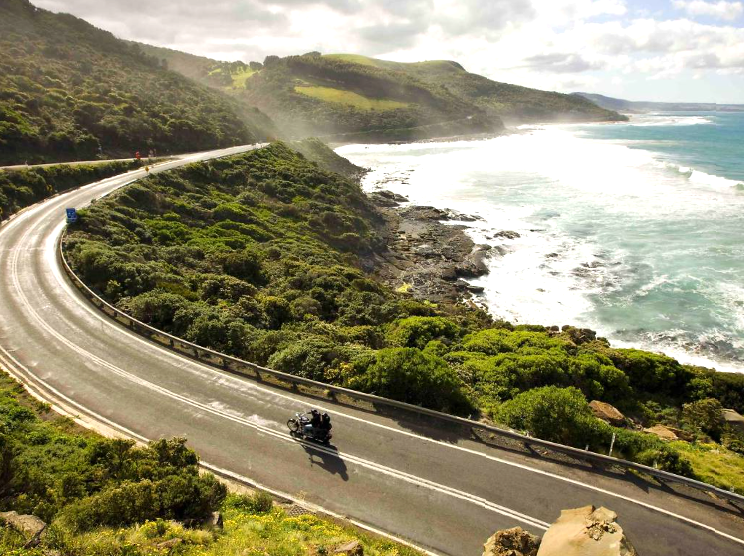 restaurant-le-nocturne|Great Otway National Park: Biodiversity and Natural Wonders